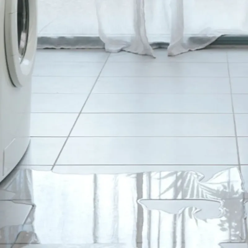 Appliance Leak Cleanup in Pensacola, FL