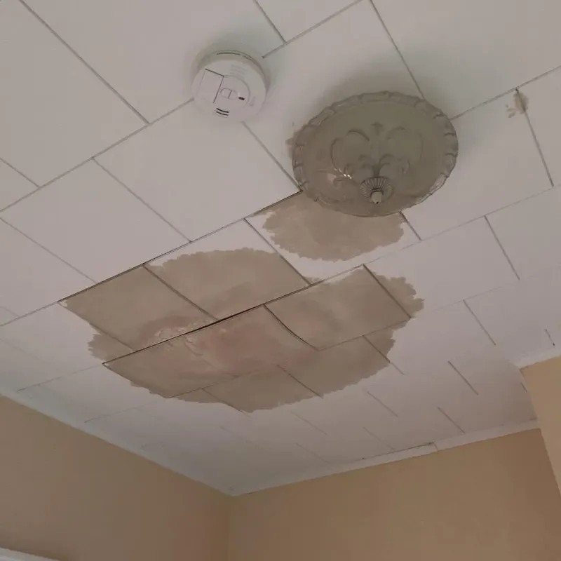 Ceiling Water Damage Repair in Pensacola, FL